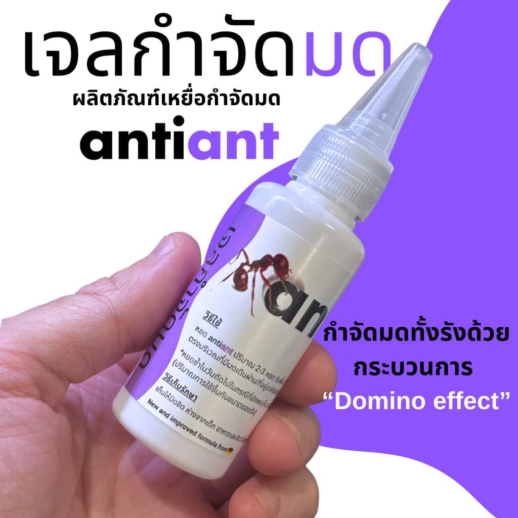 เจลกำจัดมด Antiant (แอนตี้แอ้นท์) - รูปที่ 3