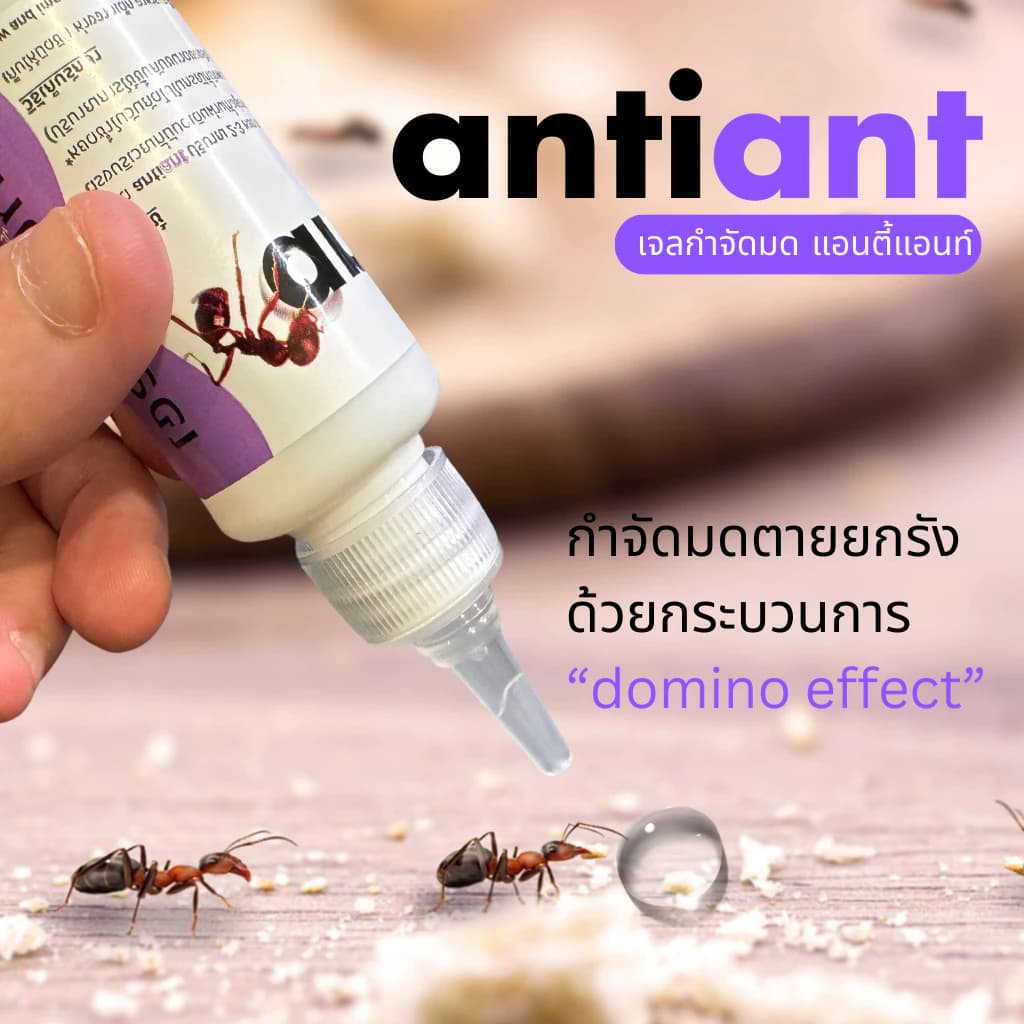 เจลกำจัดมด Antiant (แอนตี้แอ้นท์) - รูปที่ 4